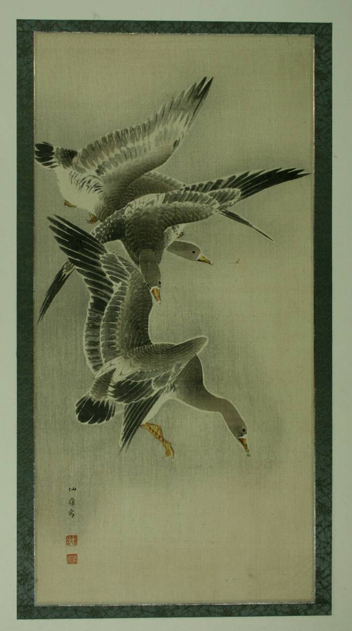 Two pieces 1: 9788492458950: Tsuchigumo, Shiranami: Books