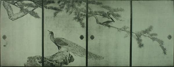 Two pieces 1: 9788492458950: Tsuchigumo, Shiranami: Books